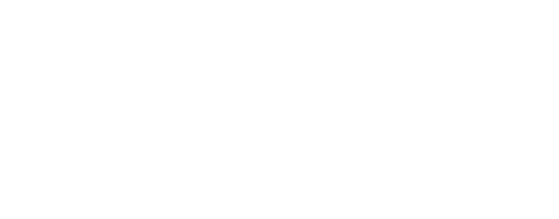 Feicon